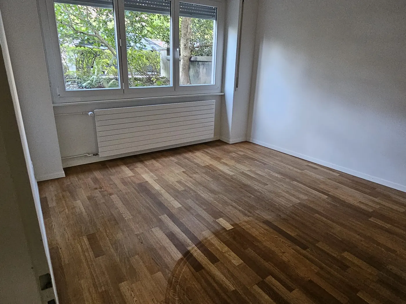 Wohnraum, Parkett gereinigt